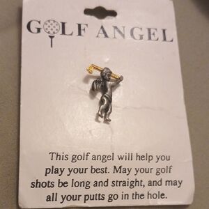 Silver and Gold Pin